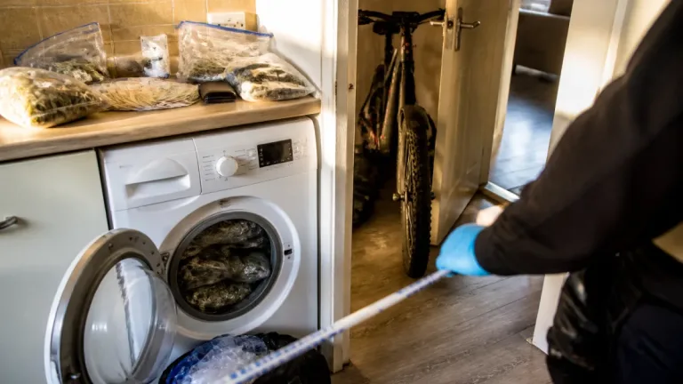 Six dawn raids hit suspected dealers as a350k cannabis haul found in Gorton washing machine