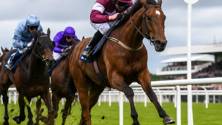 Trustyourinstinct storms late to win Curragh Cup as Melbourne Cup talk grows